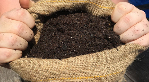 Malaysia online plant nursery - Homemade Organic Soil