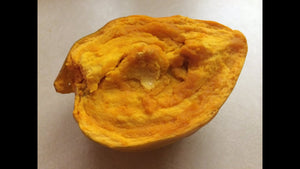 Pokok Canistel (Yellow Eggfruit)