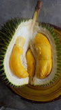 Durian IOI - Nursery Kebun Bandar