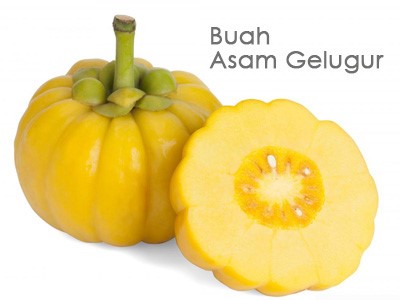 Asam Gelugur - Malaysia Online Plant Nursery