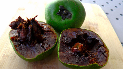 Black Sapote (a.k.a chocolate pudding tree) - Malaysia Online Plant Nursery