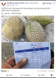 Pokok Durian Duri Hitam - Malaysia Online Plant Nursery