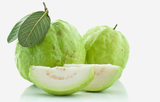 Pokok Guava Lohan - Malaysia Online Plant Nursery