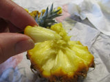 Okinawan Snack Pineapple - Malaysia Online Plant Nursery