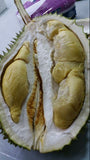 Pokok Durian Tekka D160 - Malaysia online plant nursery