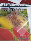 Sweet Yellow Skin Watermelon Seeds - Malaysia Online Plant Nursery